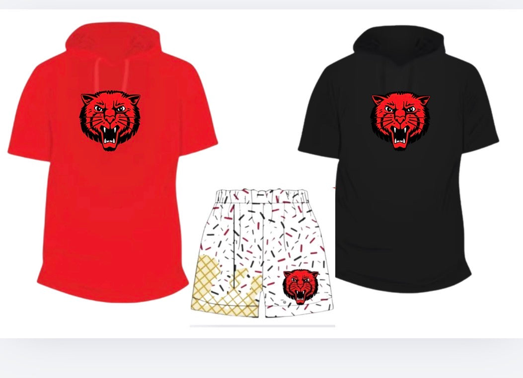 Bearcat hooded pullover (youth) (pre-order)