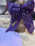 Tigers bandana clip on Bow